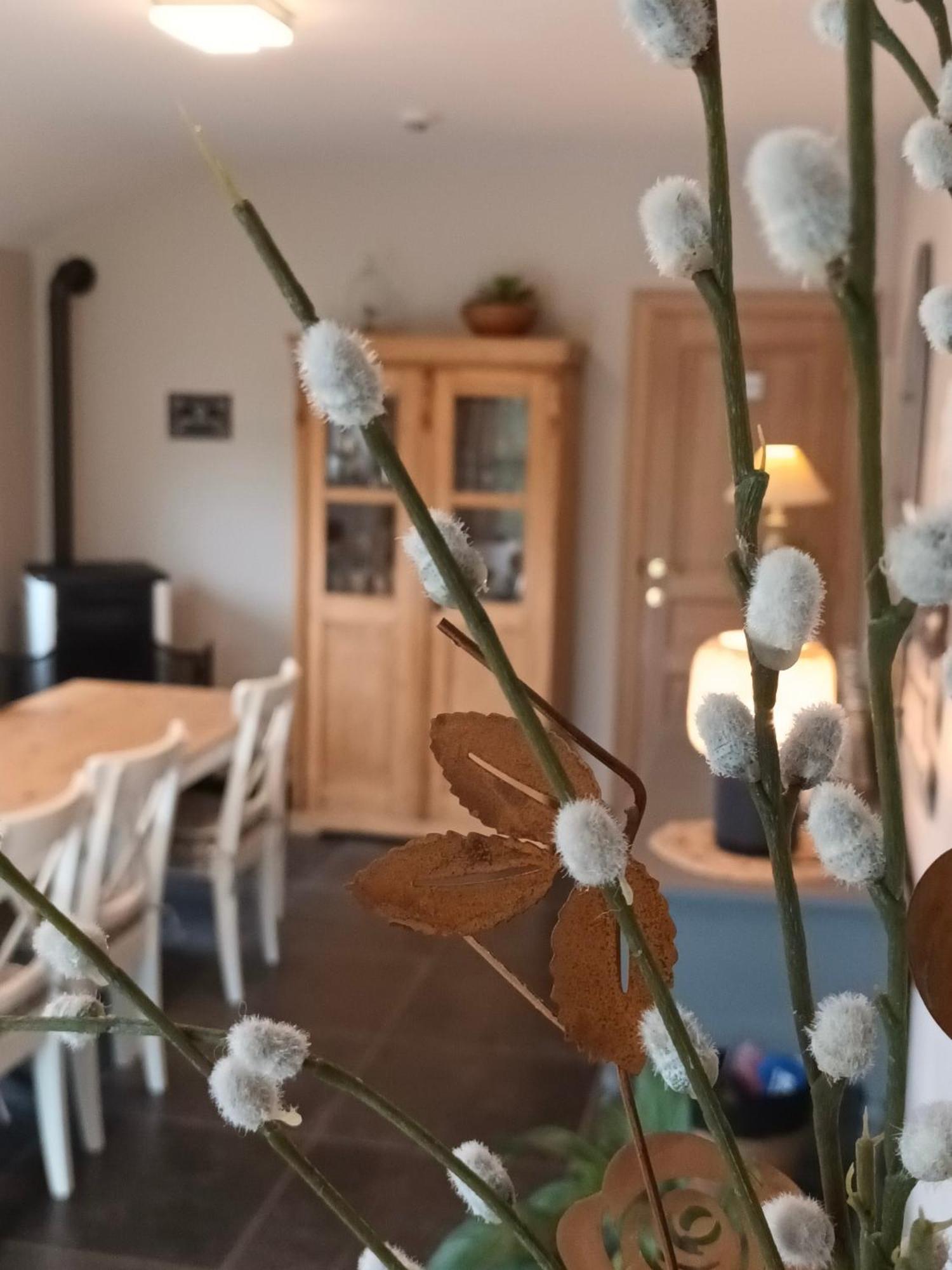 Bed and Breakfast Le Relais De La Motte Soignies Екстер'єр фото